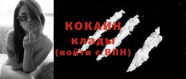 прущая мука Богородицк