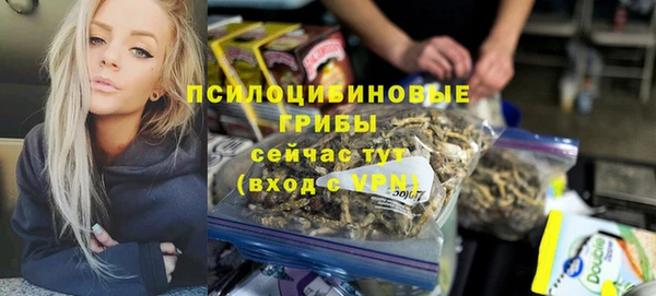 прущая мука Богородицк