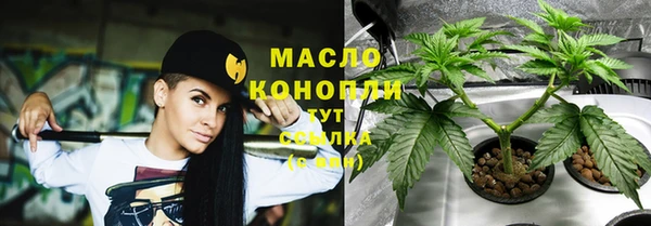 скорость Богданович