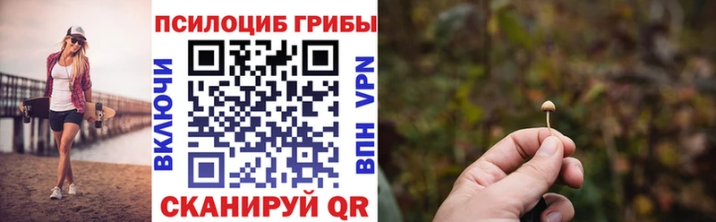 Псилоцибиновые грибы прущие грибы  наркота  Тольятти 